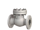 Check Valve