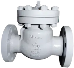 Check Valves